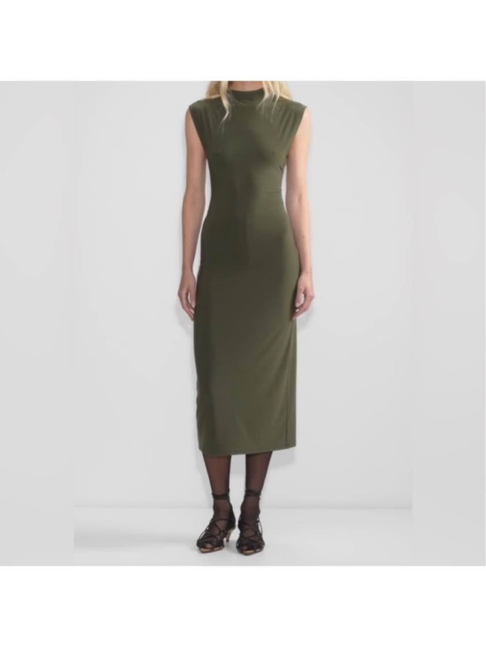 Aritzia Wilfred Botanist Midi Dress